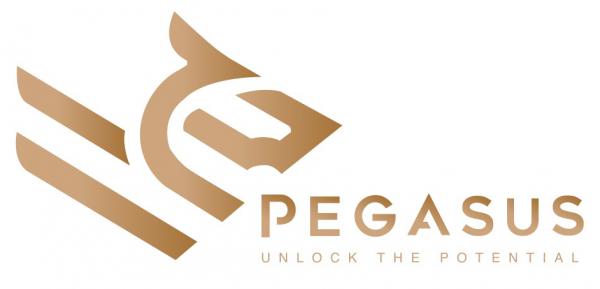 Pegasus Trade Ltd